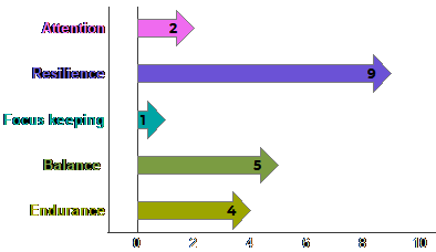Performance profile showing Attention, Resilience, Focus Keeping, Balance, and Endurance scores