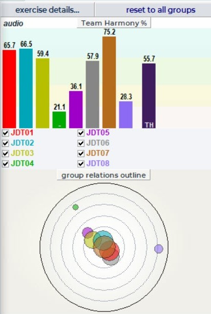 Team Harmony percentage bars and group relations outline visualization